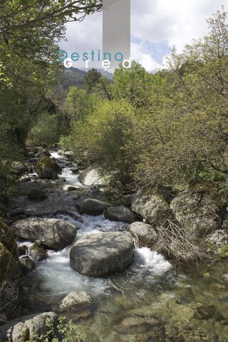 Arroyo entre rocas y vegetación en la Sierra de Gredos