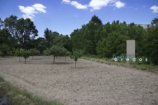 Tierra sin cultivar en la Sierra de Gredos