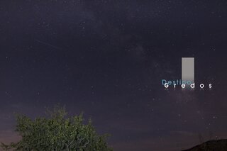 Cielo nocturno con árbol en la Sierra de Gredos