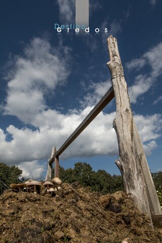 Tronco en terreno de tierra en la Sierra de Gredos