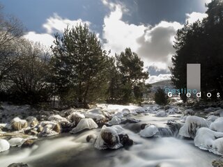 Nieve sobre rocas y bosque en la Sierra de Gredos