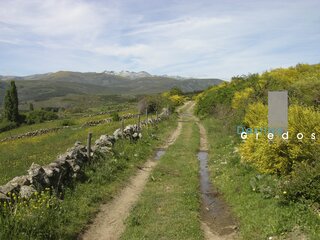 Sendero entre montañas y vegetación en la Sierra de Gredos