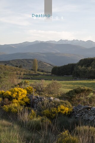 Camino de tierra entre montañas en la Sierra de Gredos