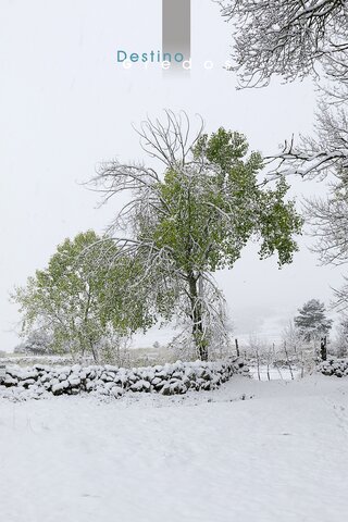 Camino de tierra bajo nieve en la Sierra de Gredos